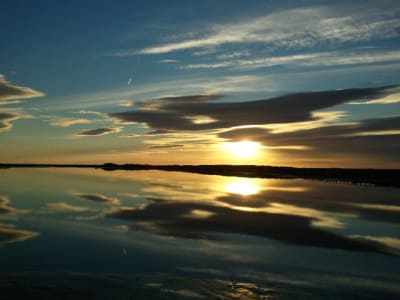 2010 11 11 16.52 - Eugenol