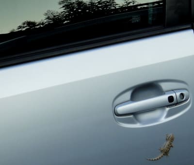 20100719 027 zqlre0 - Eugenol