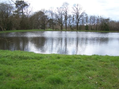 2013 03 13 positdental 079 wdrfnv - Eugenol