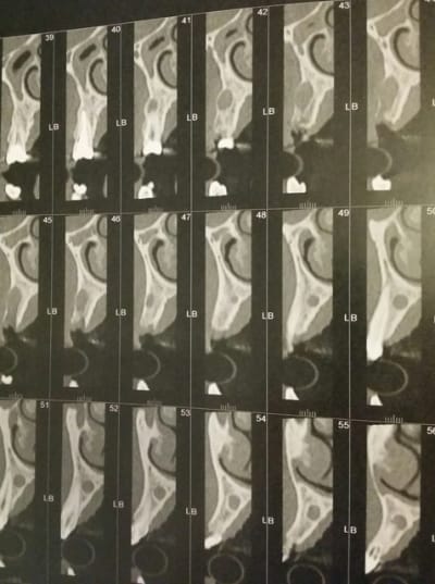 2014 04 01 20.47 - Eugenol