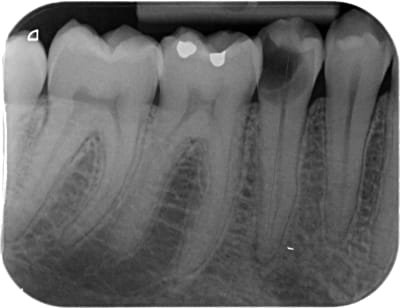 2027 x 20190227 091344 x fskolkas9p 4 yrxxdl - Eugenol