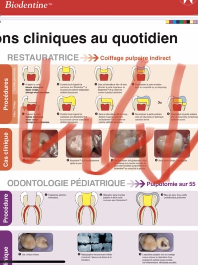 25bf570c 636c 487d 9950 3cd39c98b002 aff2vk - Eugenol