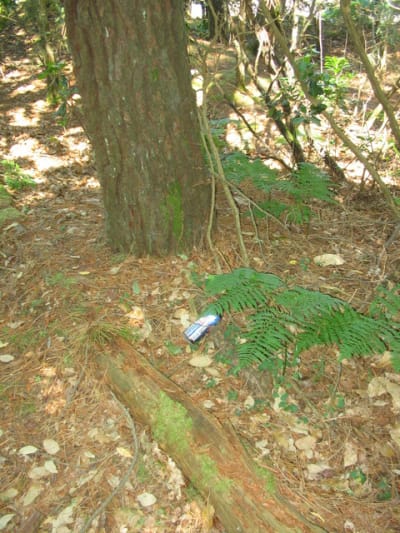 29 06 2010 canette 1 vhifbb - Eugenol