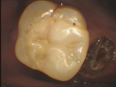 293 b86tof - Eugenol