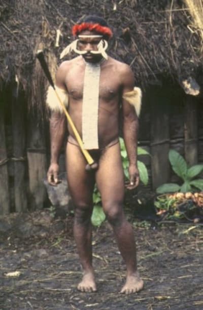 313px papou qecyin - Eugenol