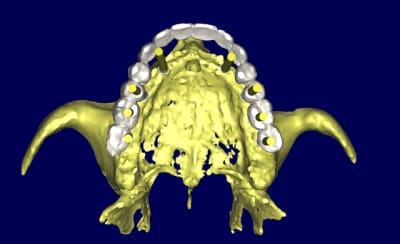 3d w0svpp - Eugenol