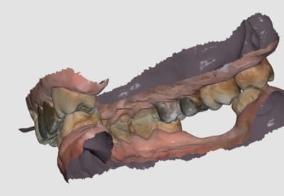 596c276e 3c7b 4a5c b923 8af91141521d tzzzqa - Eugenol