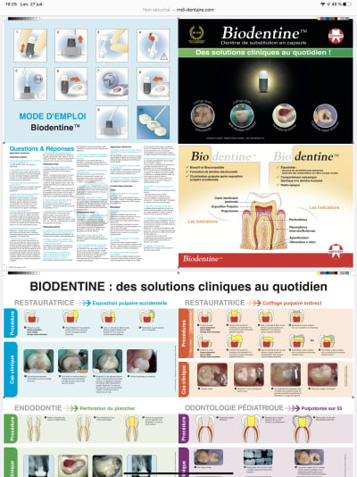 64ee2f71 a17d 4202 bd1b e627f86786c0 ielbiz - Eugenol