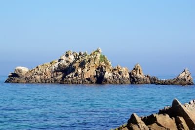 7555 6 wymlz8 - Eugenol