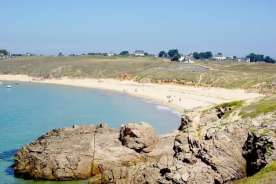 7643 6 pdy0yr - Eugenol