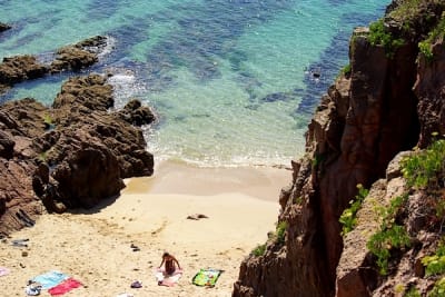 7741 6 bwdsle - Eugenol