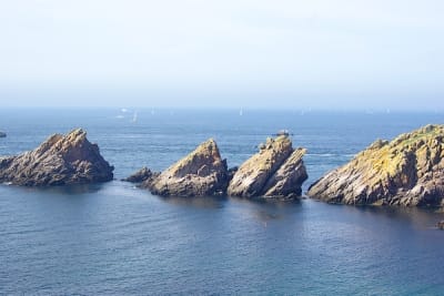 8081 6 tuyi9g - Eugenol