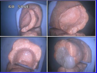 814 nyzhqc - Eugenol