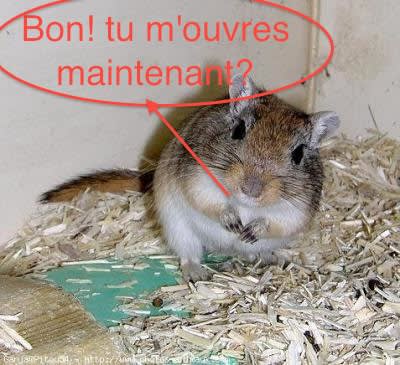 956296950 small exz14x - Eugenol