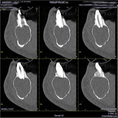 9elei21c5y2bg01djowuid5zk3uv - Eugenol