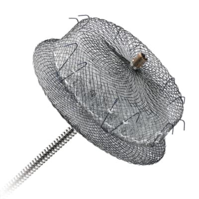 Acp oblique w highres webready pjjomi - Eugenol