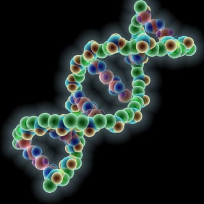 Adn g9adue - Eugenol