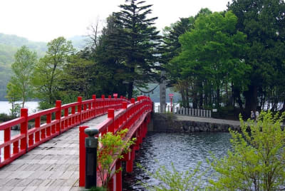 Aky  1  pk1urb - Eugenol