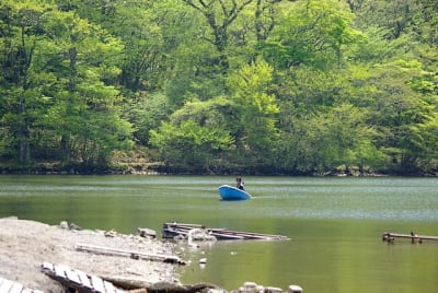 Aky  2  r5rwph - Eugenol