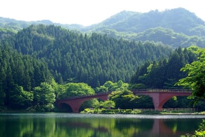 Aky  7  nyyq35 - Eugenol