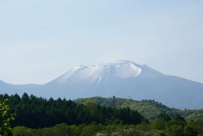 As1 kn1em5 - Eugenol