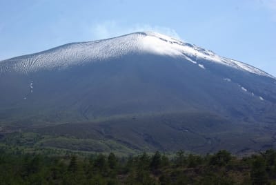 As2 ruioxw - Eugenol