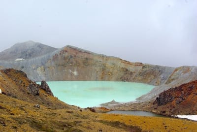 As5 lfgu5y - Eugenol