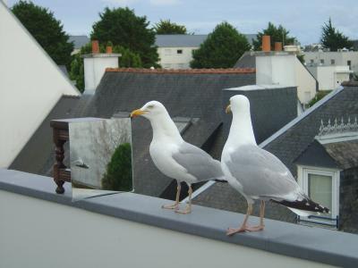 Approche en couple ux6kry - Eugenol
