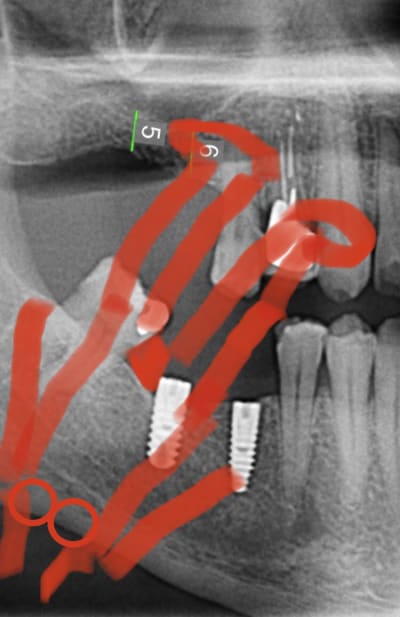 B1897428 1a3c 4cae a428 5416482ccfa6 ppfjmn - Eugenol