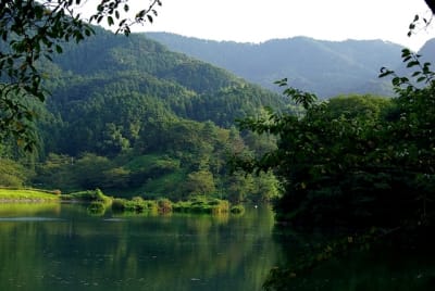 Bkg  12  aeiwhy - Eugenol