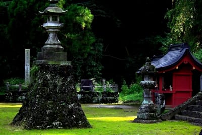 Bkg  6  zf9sxt - Eugenol