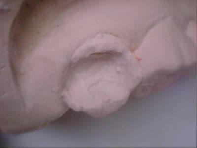 Belott 20120220 2 5 - Eugenol