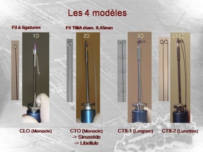 Clo cto 2008 ifylga - Eugenol