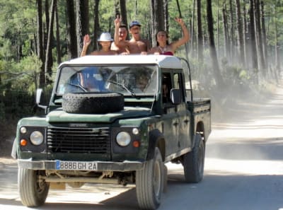 Corse ixus 028 sc5be6 - Eugenol