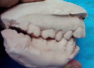 C dsci0007 mjnfmq - Eugenol