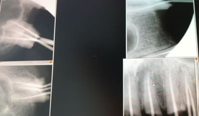 Capture d  cran 2014 02 09   00.54 - Eugenol