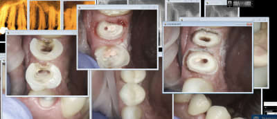 Capture d écran 2018 07 16 16.50 - Eugenol