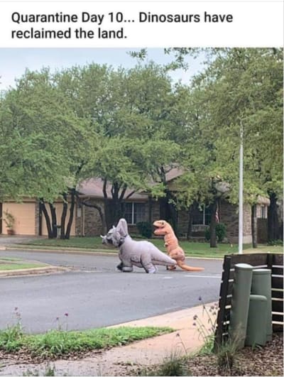 Capture d écran 2020 03 26 à 11.20 - Eugenol