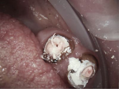 Capture d e cran 2015 07 30 12.49 - Eugenol