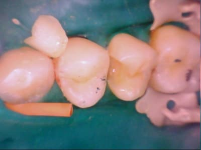 Caval 20120214 17 19 - Eugenol