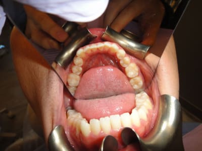 Dsc00864 zzsvv0 - Eugenol