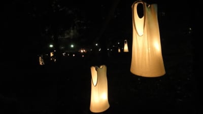 Dsc01250 pwrneu - Eugenol