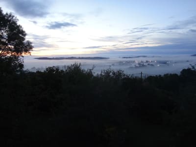 Dsc02797   copie cbbzen - Eugenol