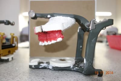 Dsc03368 pnklqj - Eugenol