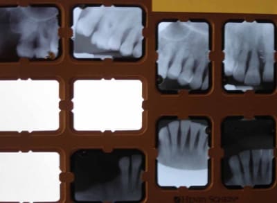 Dsc04554 lxhjlh - Eugenol