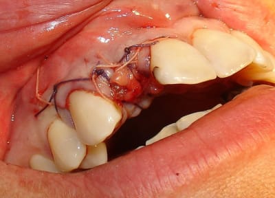 Dsc06181 cffgta - Eugenol