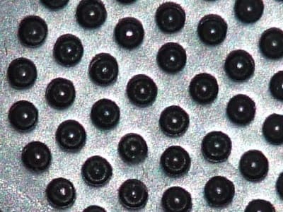 Dscf0138 ipwkt3 - Eugenol