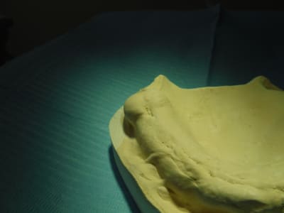 Dscf0340 xk8jlr - Eugenol