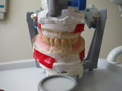 Dscf0432 xvrsxr - Eugenol