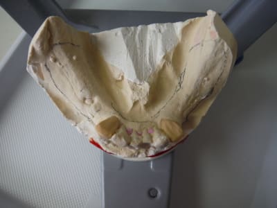 Dscf0444 lttsv8 - Eugenol